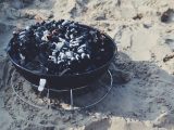 Grillkol vs Briketter: Vad passar bäst för din grill?